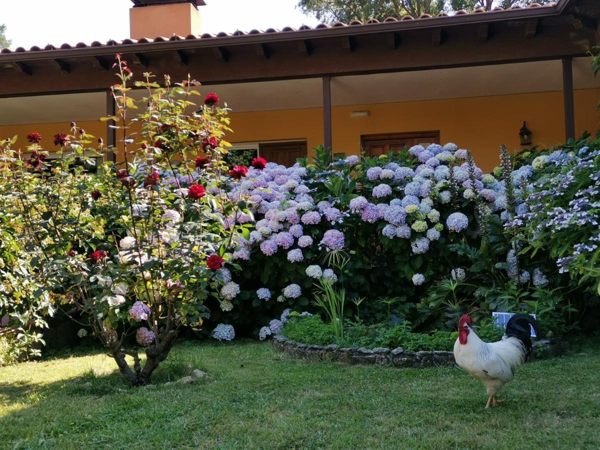 Hotel Rural El Retiro De San Pedro By Retirorural Arenas de San Pedro Exterior foto